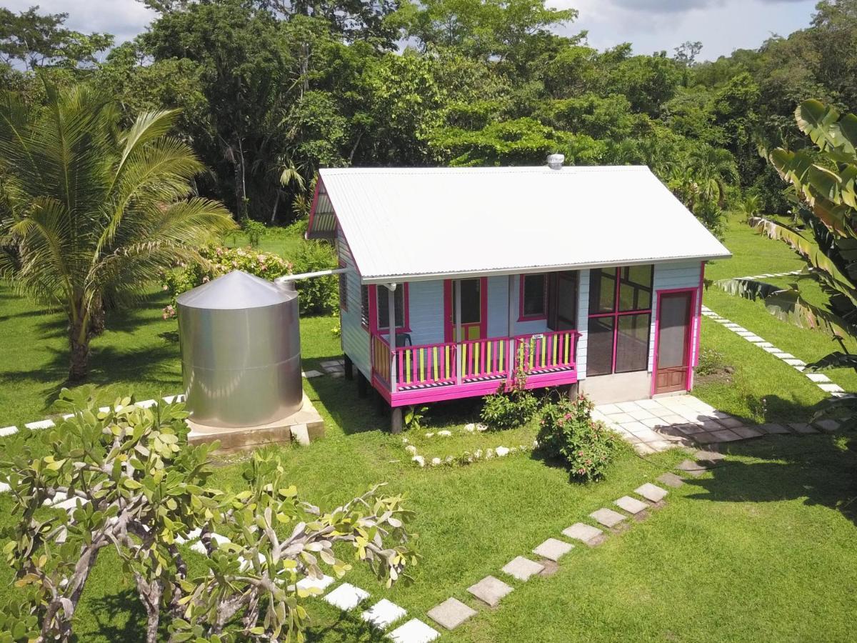 Lower Dover Jungle Lodge & Maya Ruins Unitedville 外观 照片