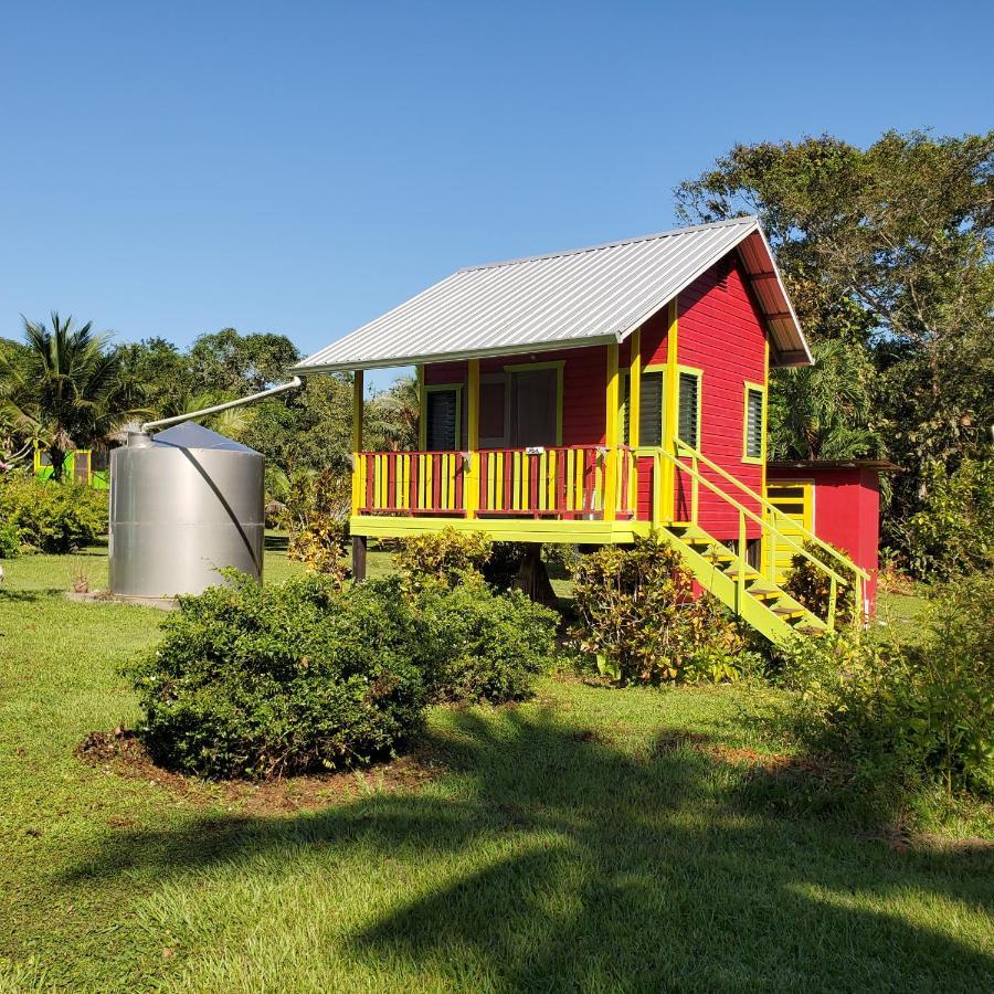 Lower Dover Jungle Lodge & Maya Ruins Unitedville 外观 照片