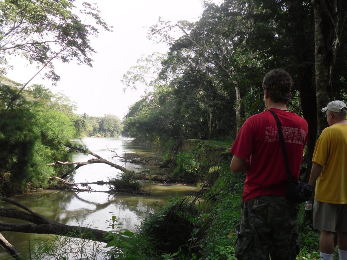 Lower Dover Jungle Lodge & Maya Ruins Unitedville 外观 照片