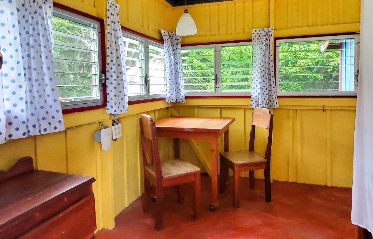 Lower Dover Jungle Lodge & Maya Ruins Unitedville 外观 照片