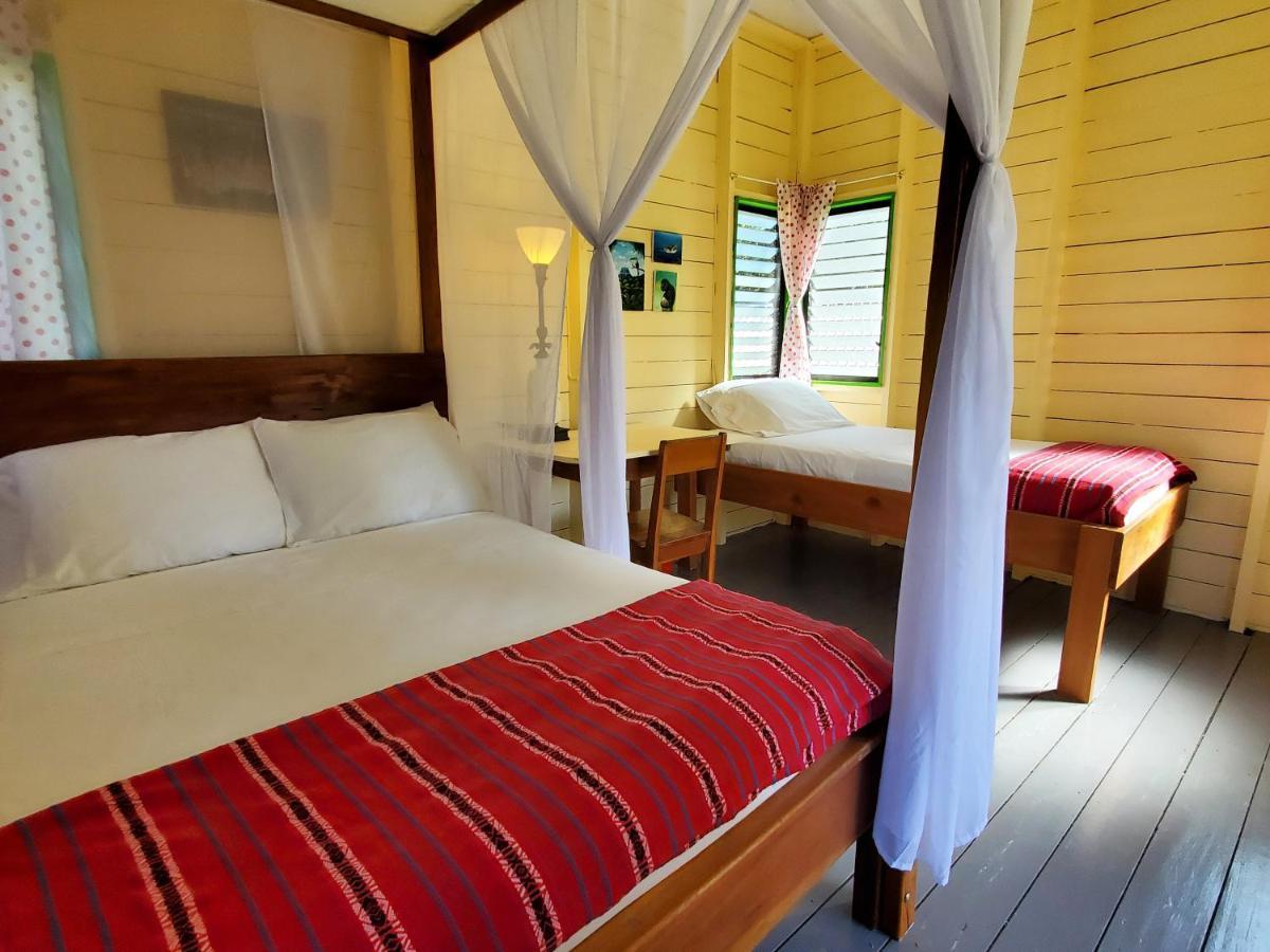 Lower Dover Jungle Lodge & Maya Ruins Unitedville 外观 照片