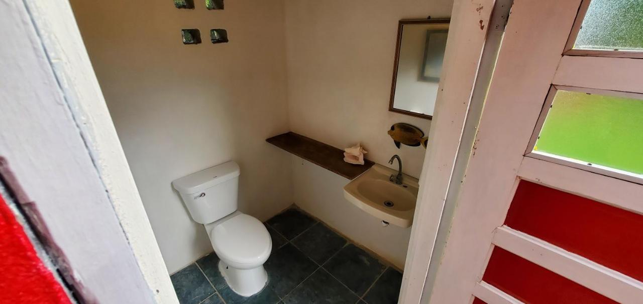 Lower Dover Jungle Lodge & Maya Ruins Unitedville 外观 照片