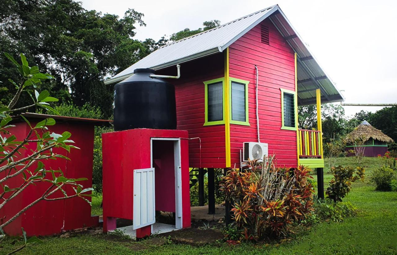 Lower Dover Jungle Lodge & Maya Ruins Unitedville 外观 照片
