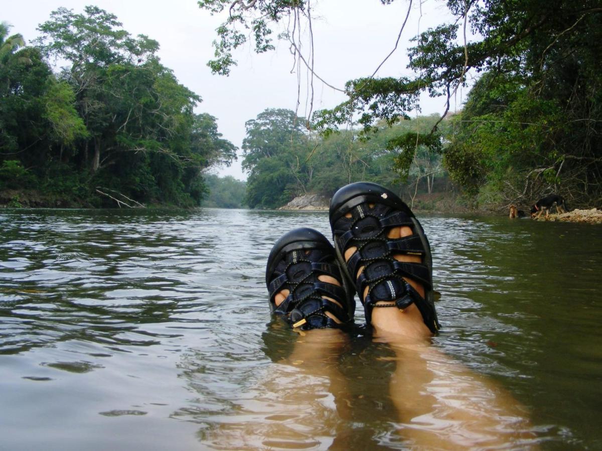 Lower Dover Jungle Lodge & Maya Ruins Unitedville 外观 照片