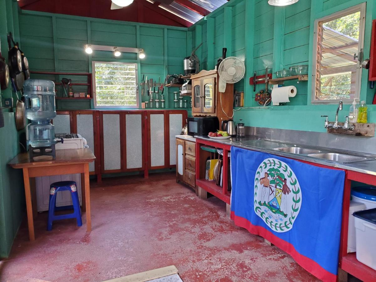 Lower Dover Jungle Lodge & Maya Ruins Unitedville 外观 照片