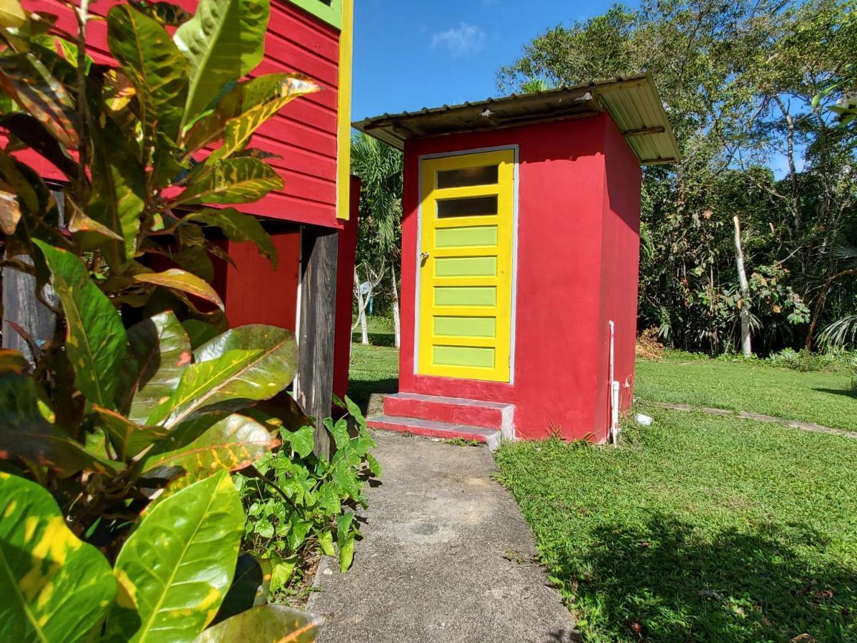 Lower Dover Jungle Lodge & Maya Ruins Unitedville 外观 照片