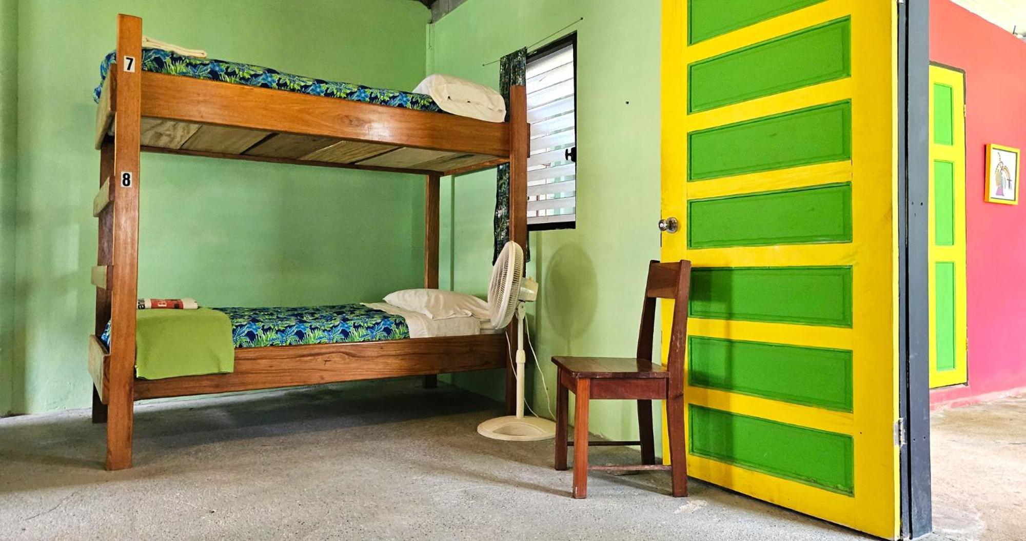 Lower Dover Jungle Lodge & Maya Ruins Unitedville 客房 照片