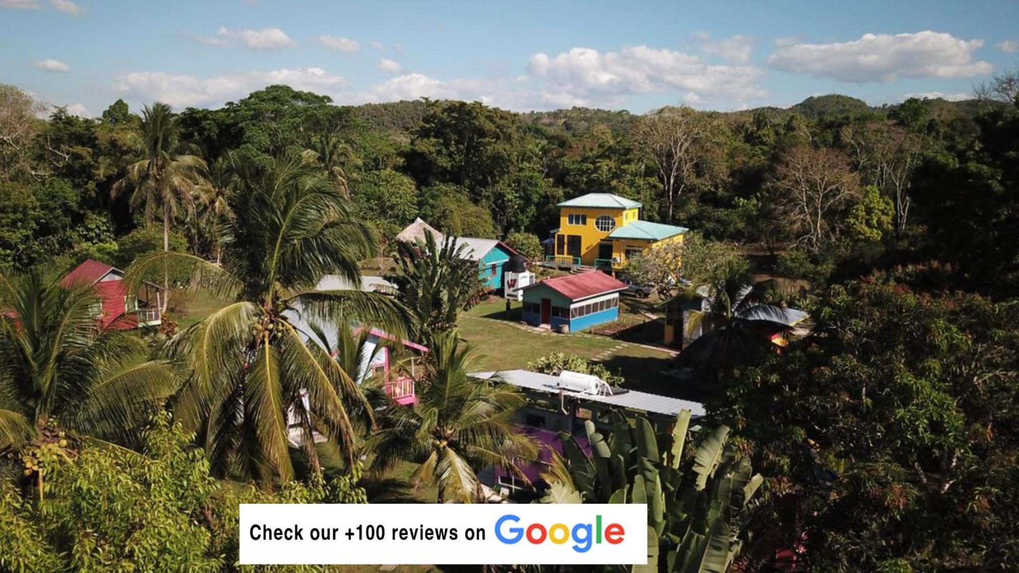 Lower Dover Jungle Lodge & Maya Ruins Unitedville 外观 照片