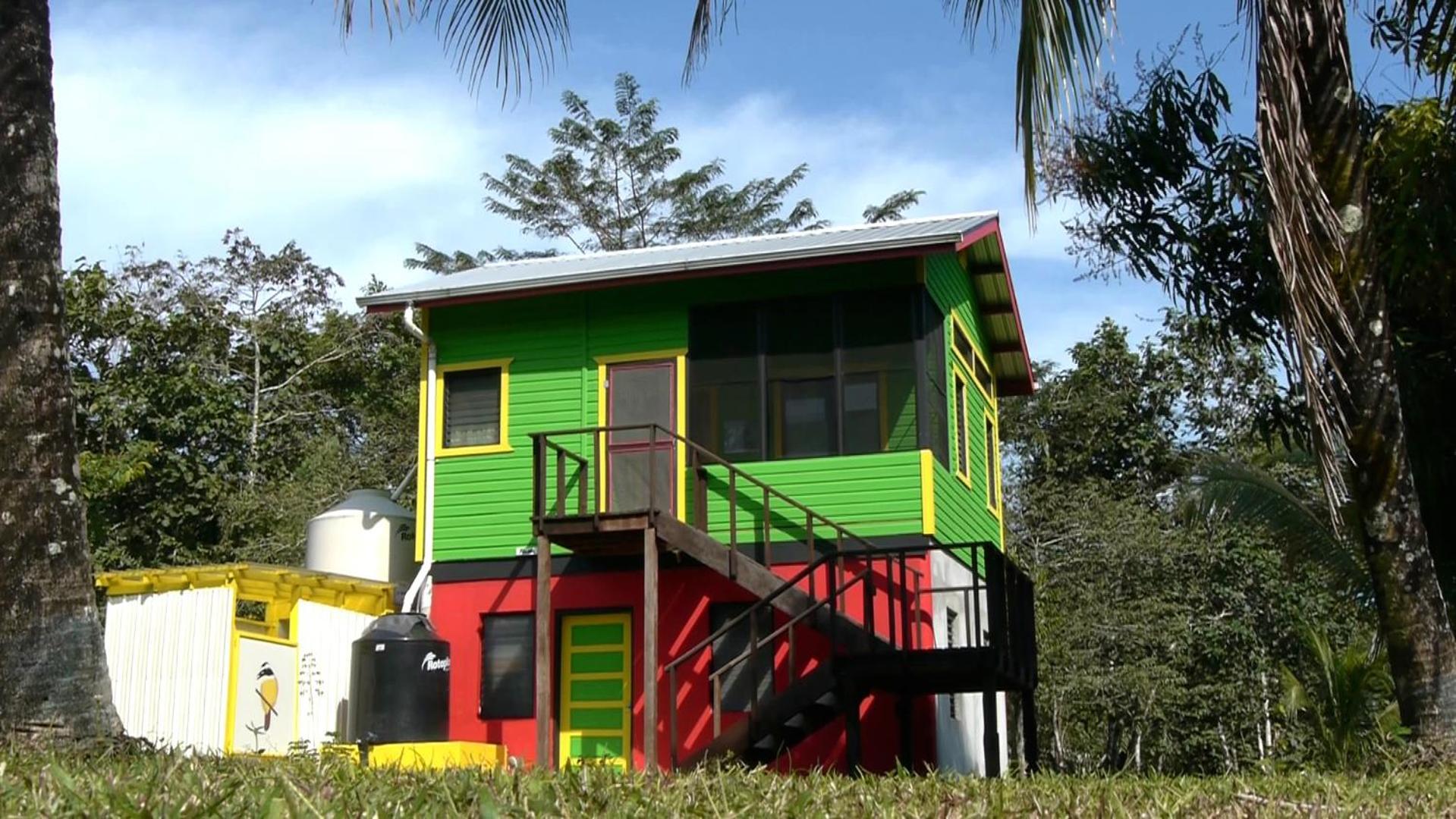 Lower Dover Jungle Lodge & Maya Ruins Unitedville 客房 照片