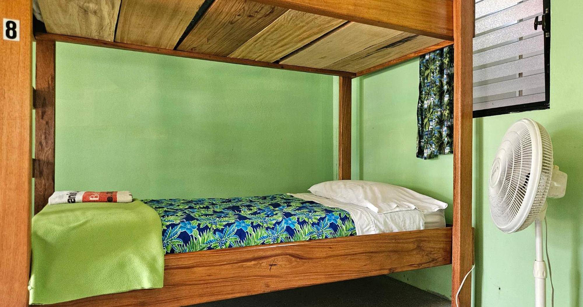 Lower Dover Jungle Lodge & Maya Ruins Unitedville 客房 照片