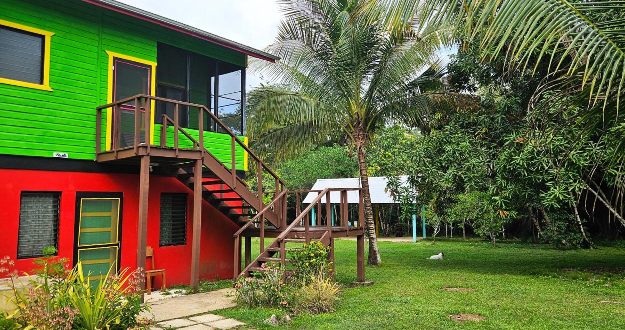 Lower Dover Jungle Lodge & Maya Ruins Unitedville 客房 照片