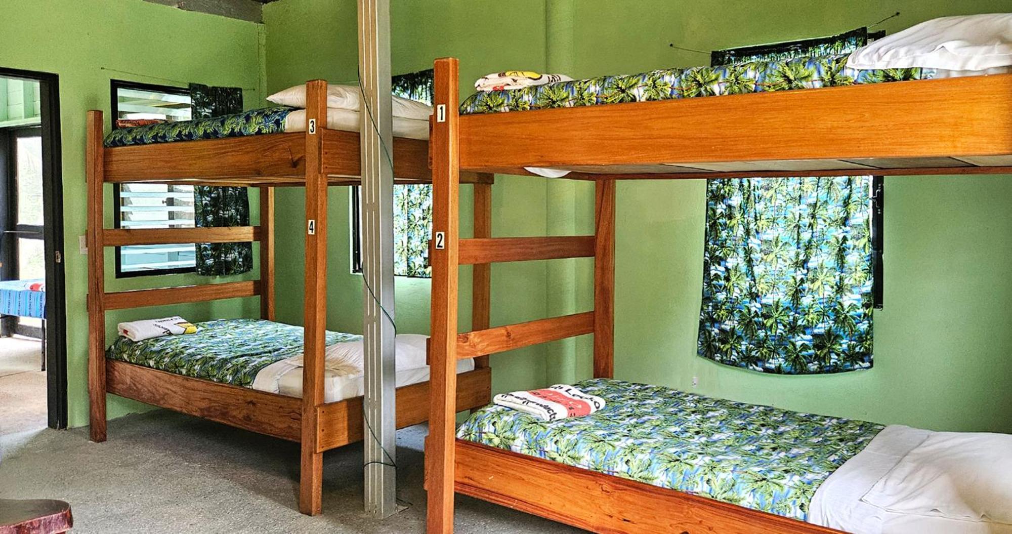 Lower Dover Jungle Lodge & Maya Ruins Unitedville 客房 照片