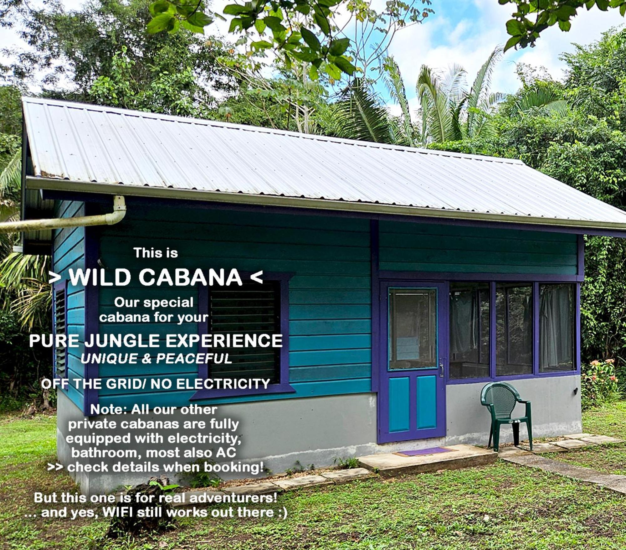 Lower Dover Jungle Lodge & Maya Ruins Unitedville 客房 照片