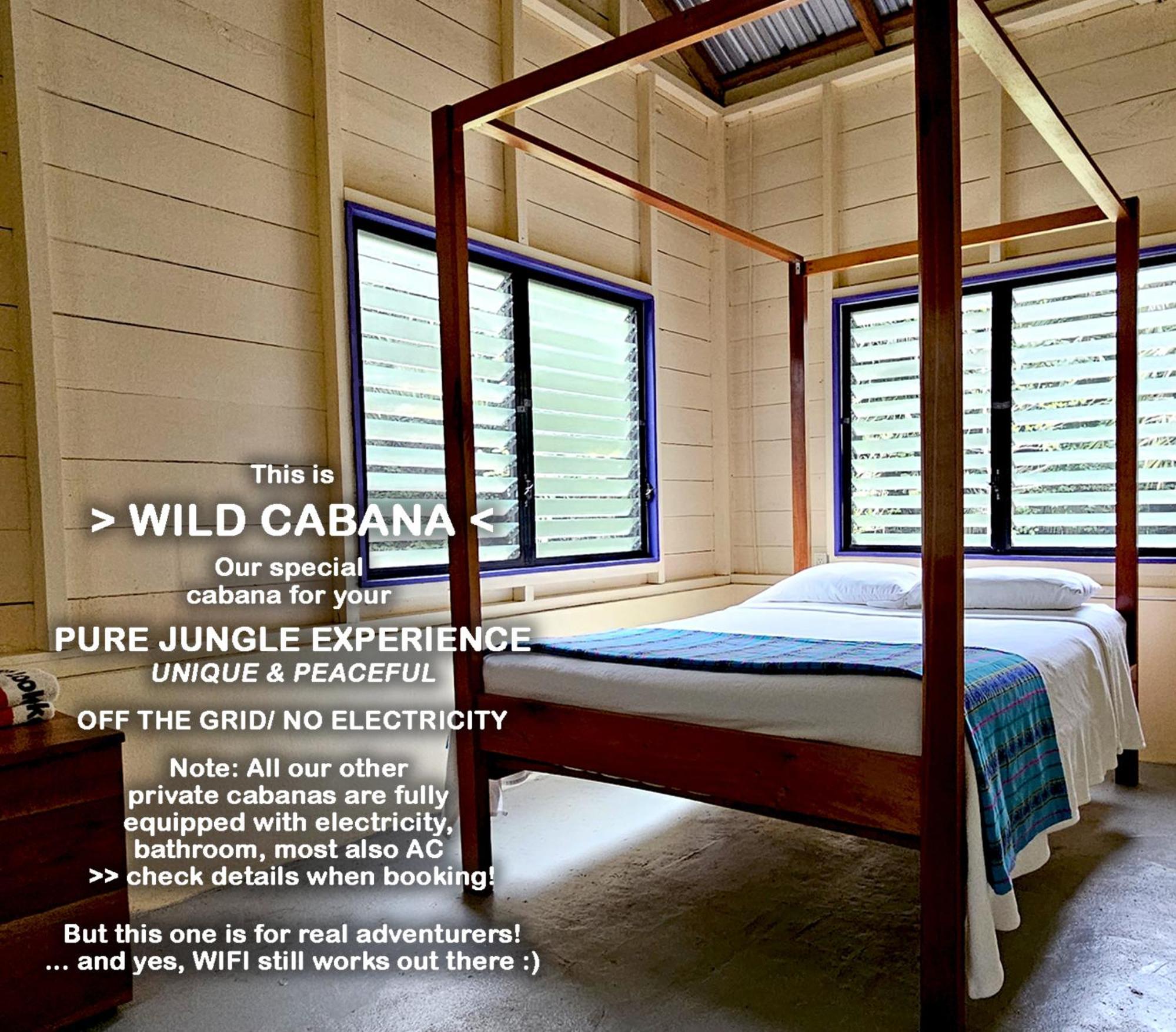 Lower Dover Jungle Lodge & Maya Ruins Unitedville 客房 照片