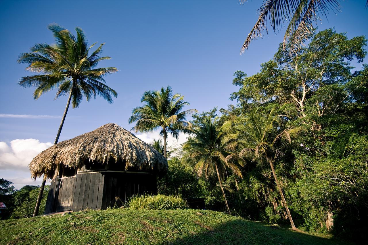 Lower Dover Jungle Lodge & Maya Ruins Unitedville 外观 照片