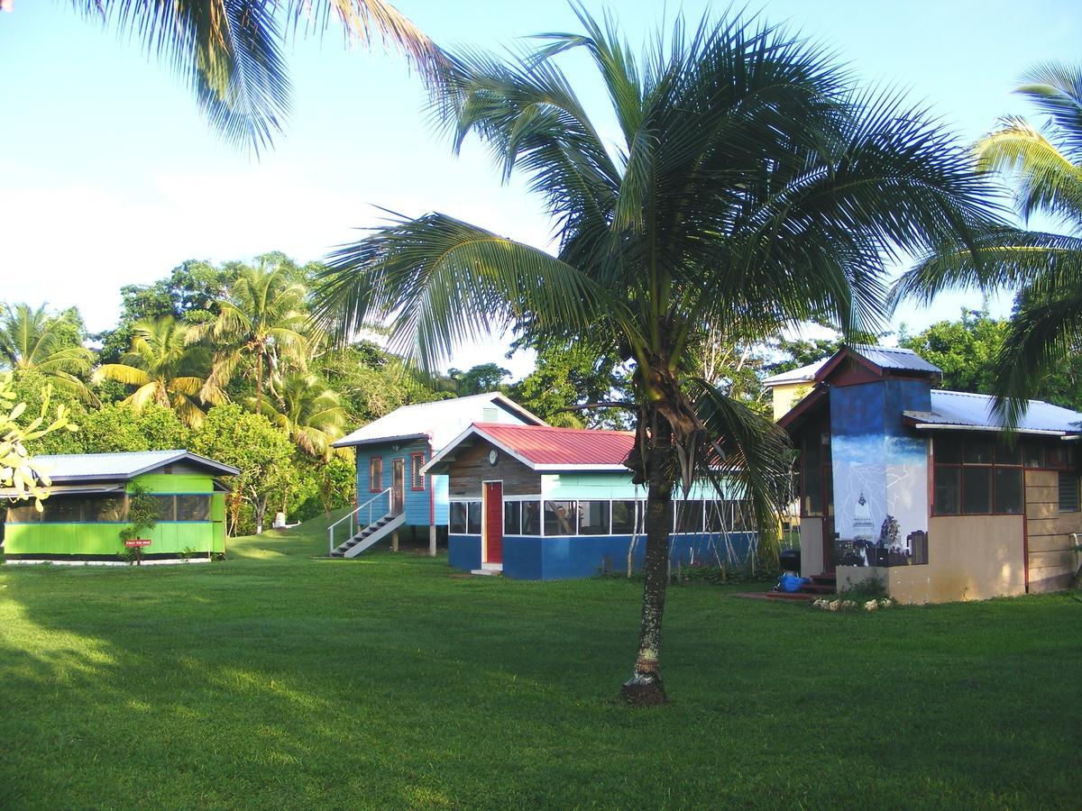 Lower Dover Jungle Lodge & Maya Ruins Unitedville 外观 照片