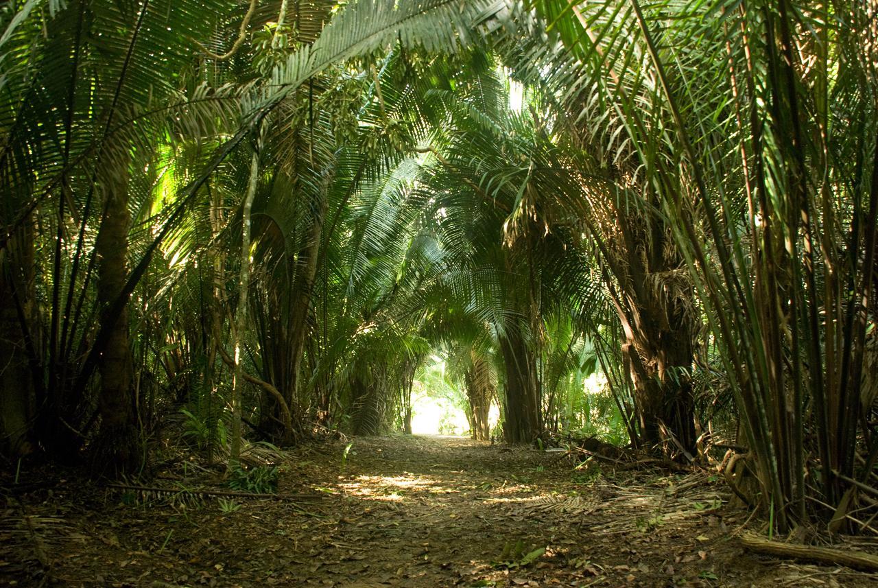 Lower Dover Jungle Lodge & Maya Ruins Unitedville 外观 照片