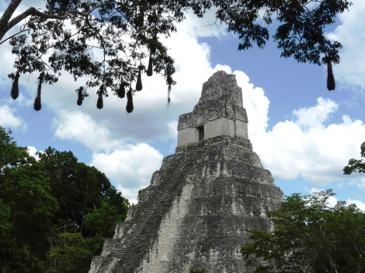 Lower Dover Jungle Lodge & Maya Ruins Unitedville 外观 照片