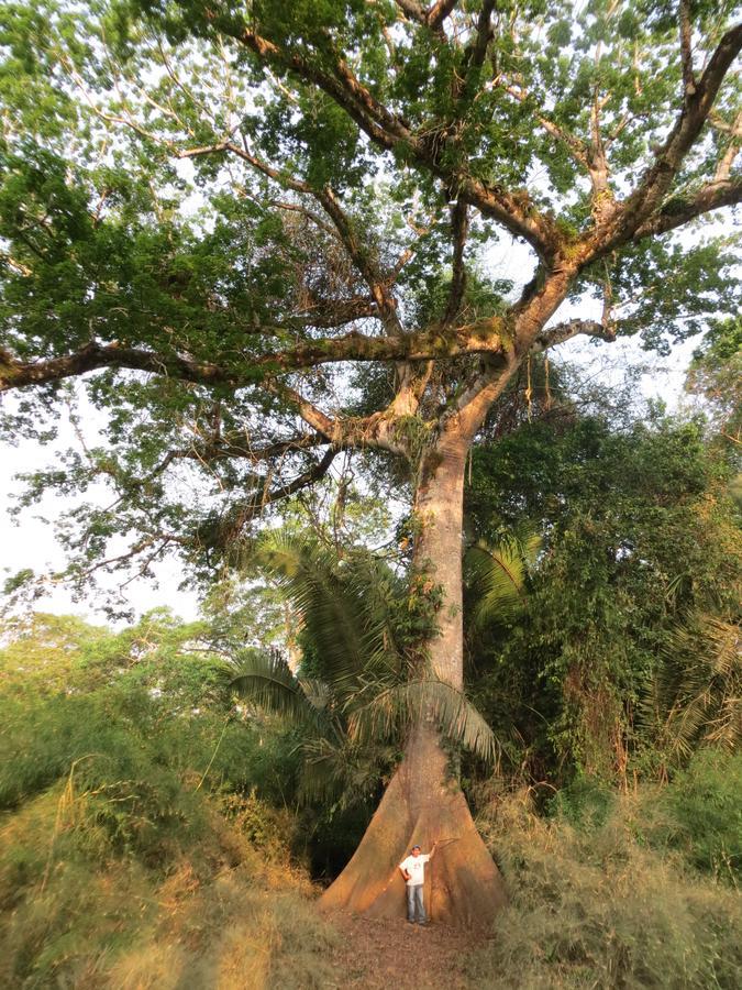 Lower Dover Jungle Lodge & Maya Ruins Unitedville 外观 照片