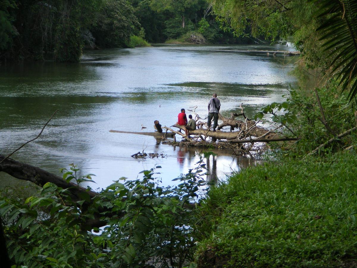 Lower Dover Jungle Lodge & Maya Ruins Unitedville 外观 照片