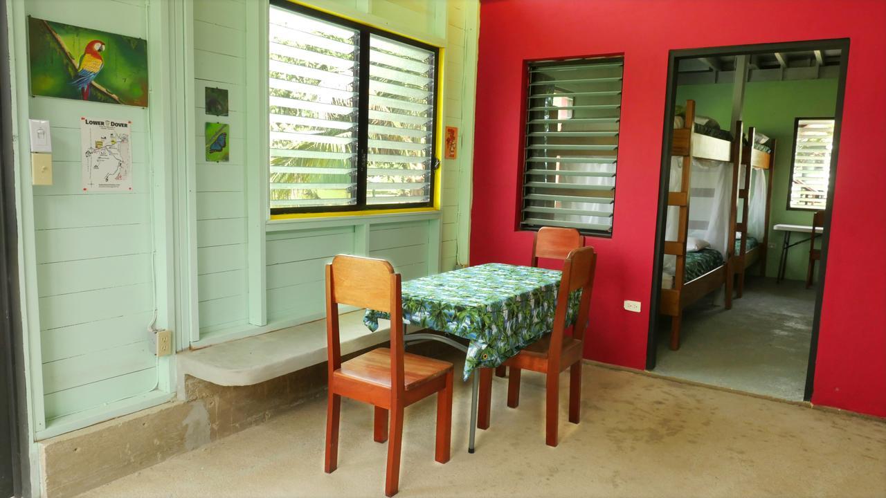 Lower Dover Jungle Lodge & Maya Ruins Unitedville 外观 照片