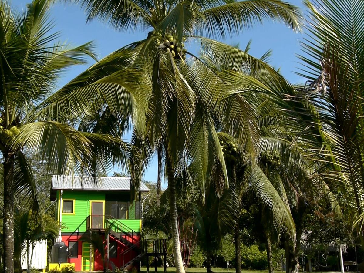 Lower Dover Jungle Lodge & Maya Ruins Unitedville 外观 照片